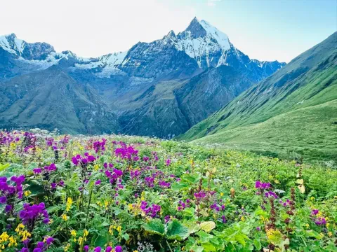 Monsoon Trekking in Nepal: Myth vs. Reality