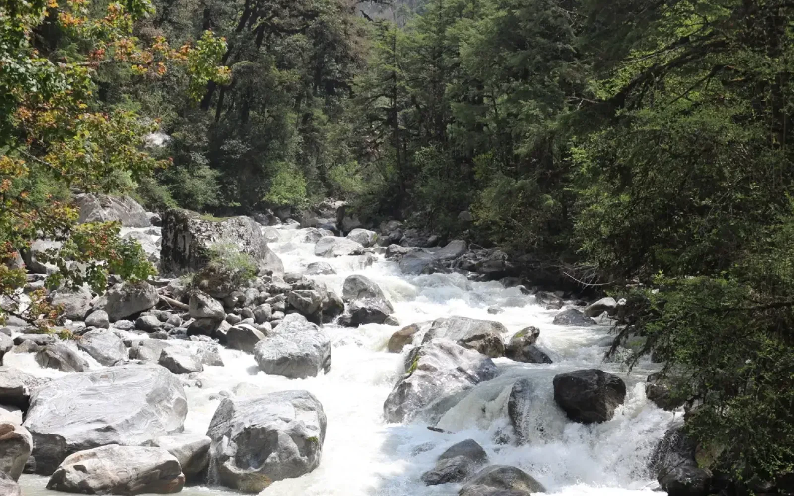 Langtang Valley: A Perfect Blend of Nature and Culture