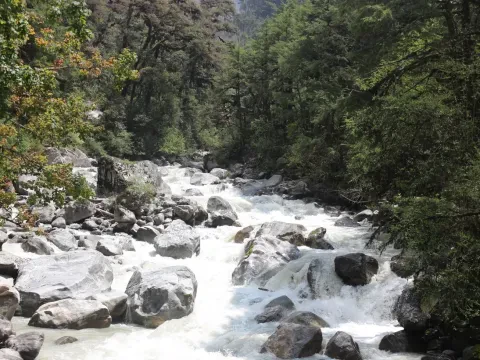Langtang Valley: A Perfect Blend of Nature and Culture