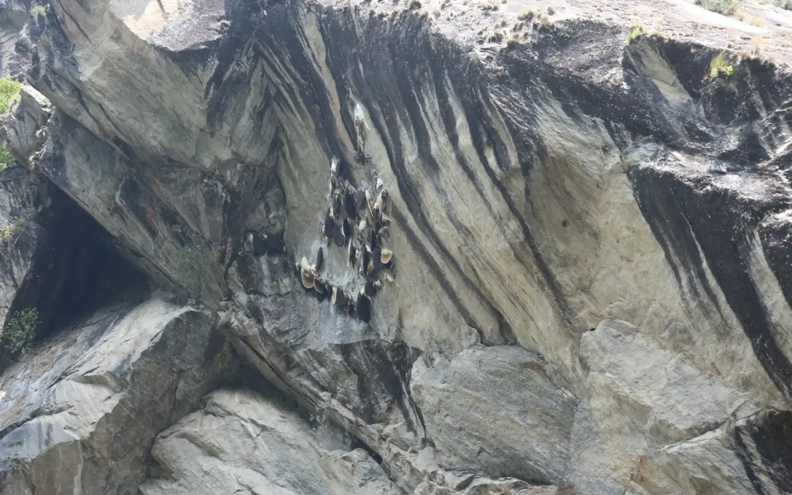 Langtang Valley Trek: A Perfect Choice for Solace Lovers