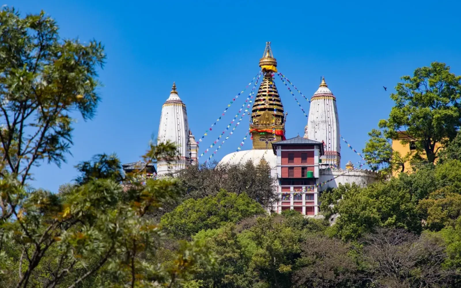 Best Morning Walk Destinations Near Thamel