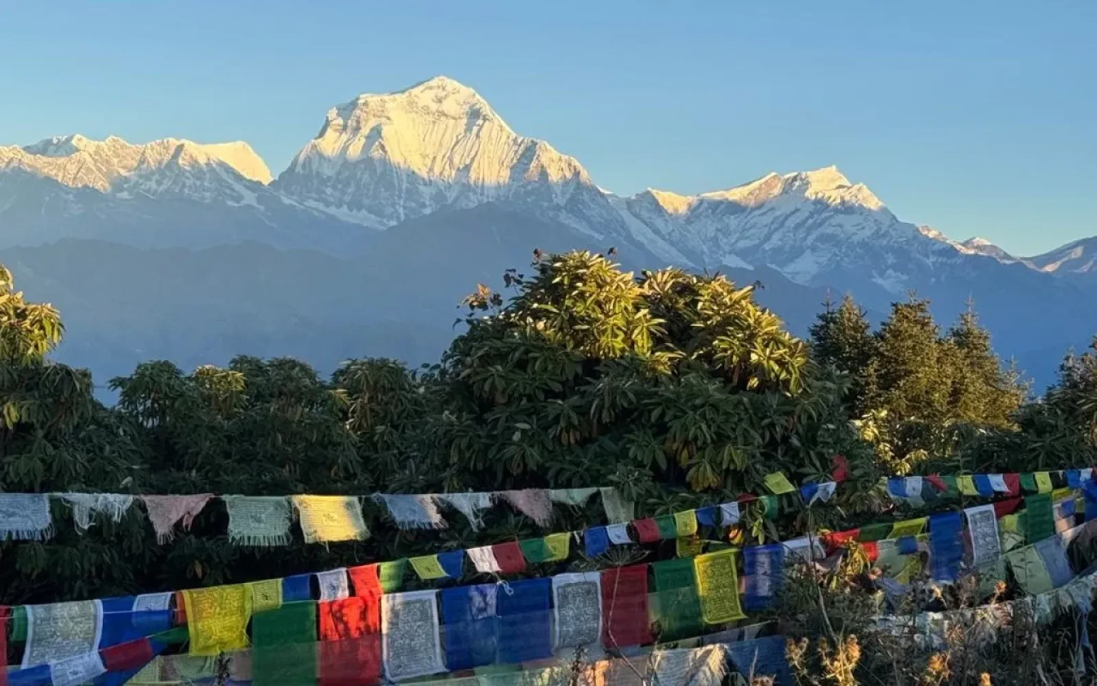 Poon Hill Trek in Winter