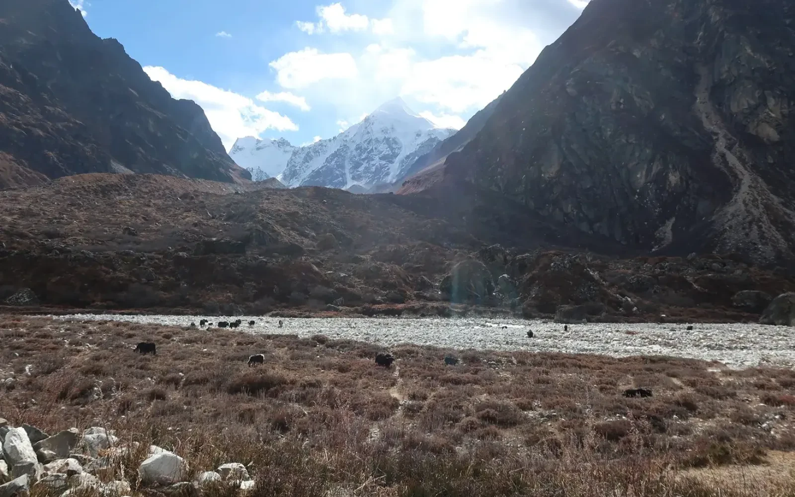 Langtang Valley Trek in November-Weather Guide
