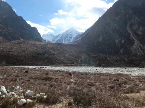 Langtang Valley Trek in November-Weather Guide