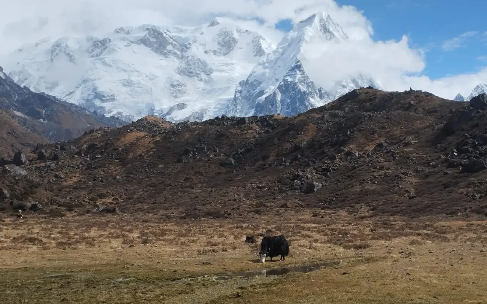 Kanchenjungha Trek Itinerary Guide