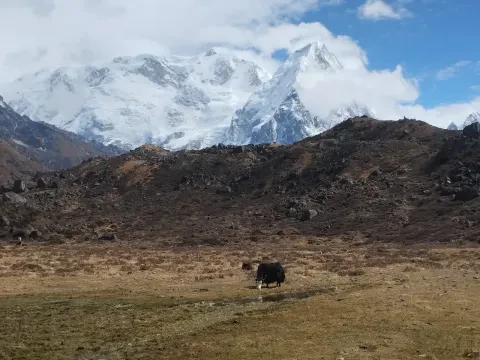 Kanchenjungha Trek Itinerary Guide
