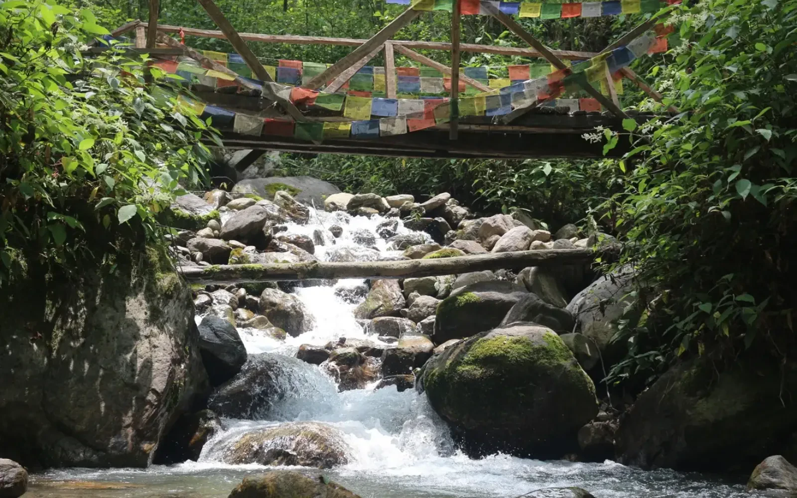 Langtang Valley Trek: Nature and Culture Together