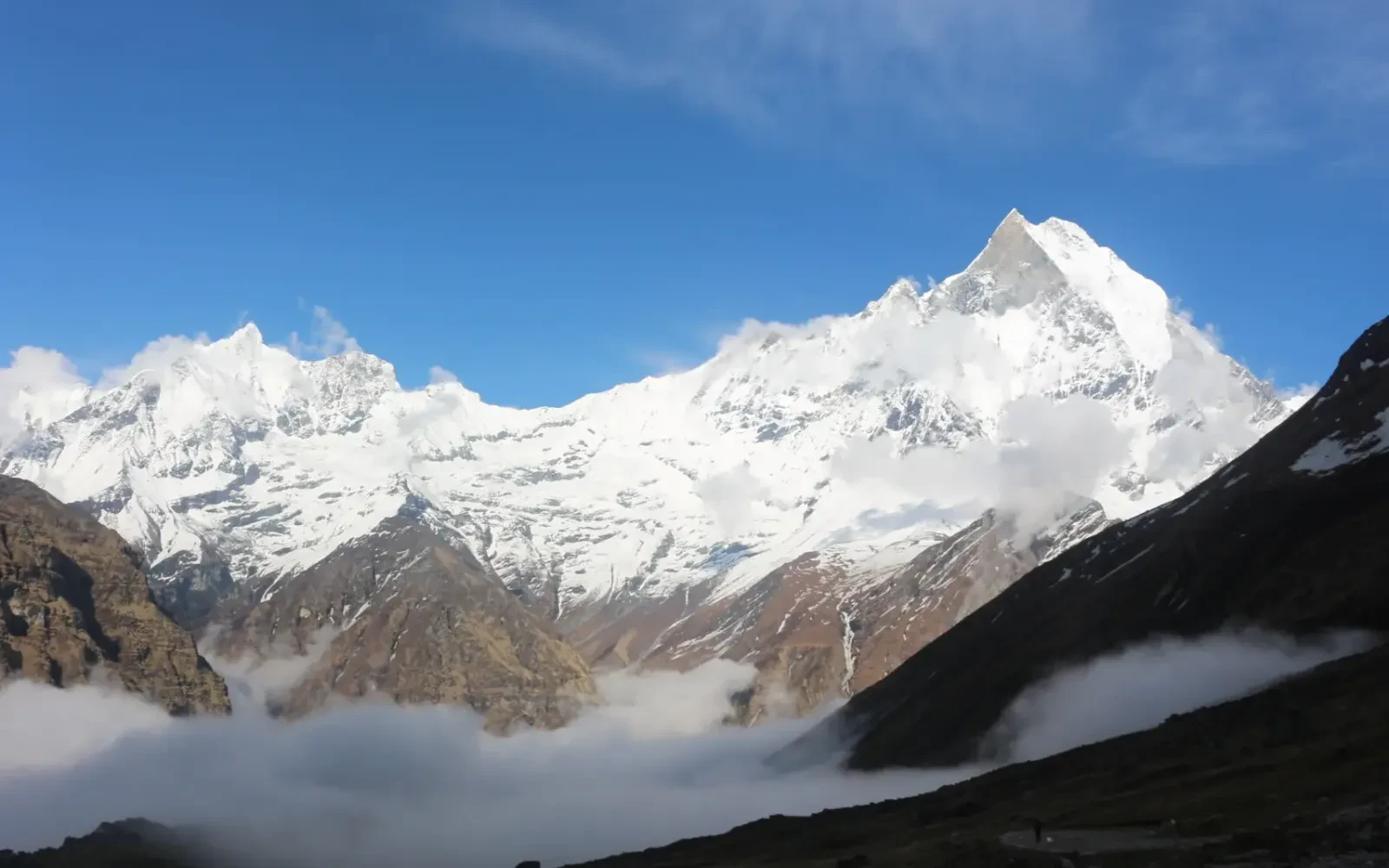 Short ABC Trek 5-Day Itinerary from Pokhara
