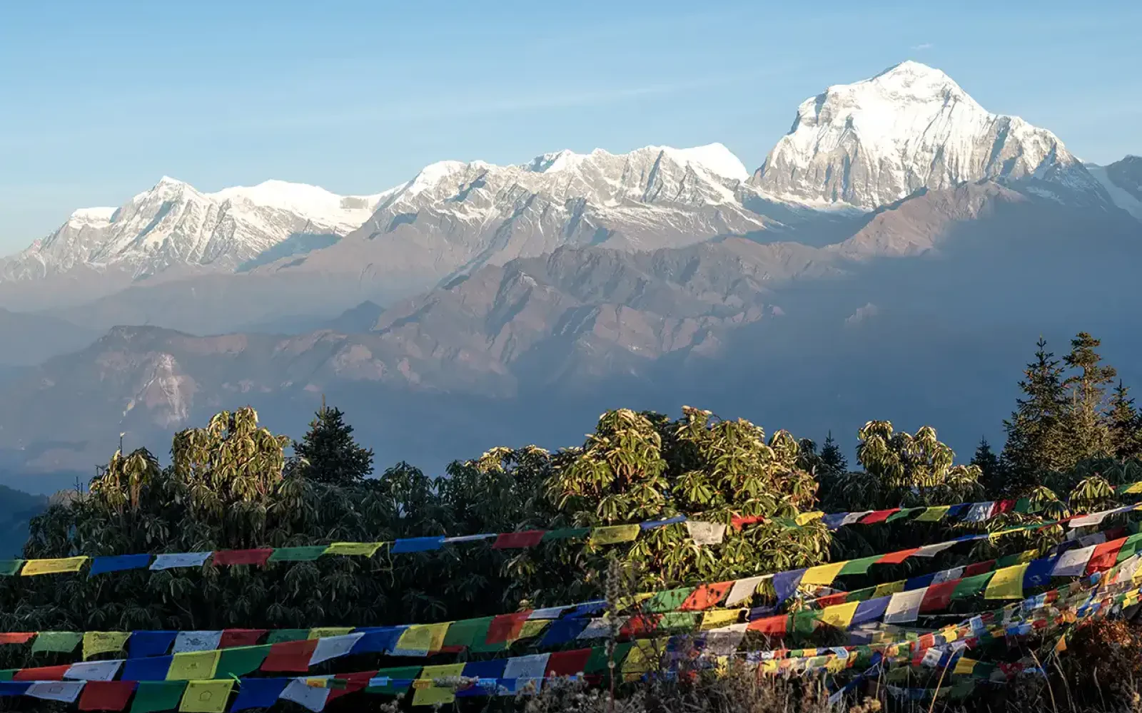 Ghorepani Poon Hill Trek Nepal