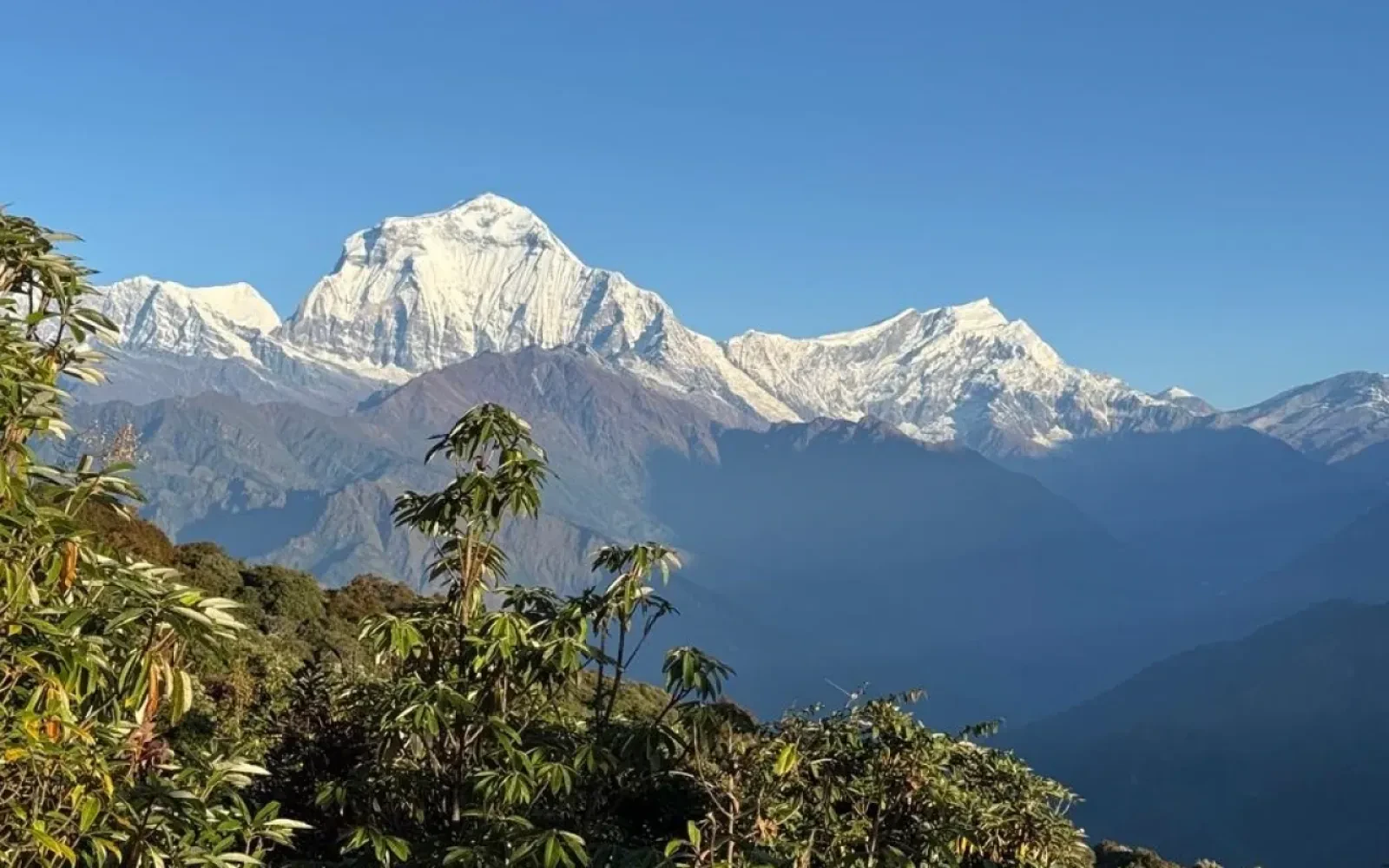 Poon Hill Trek in December