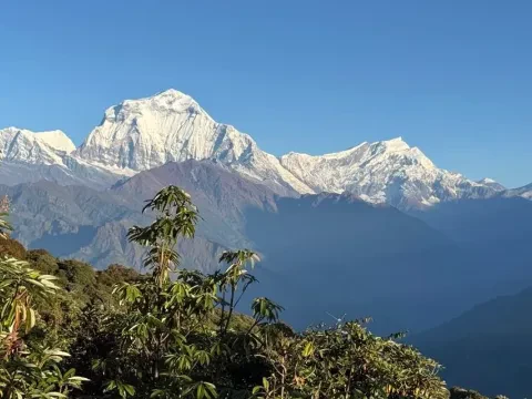Poon Hill Trek in December