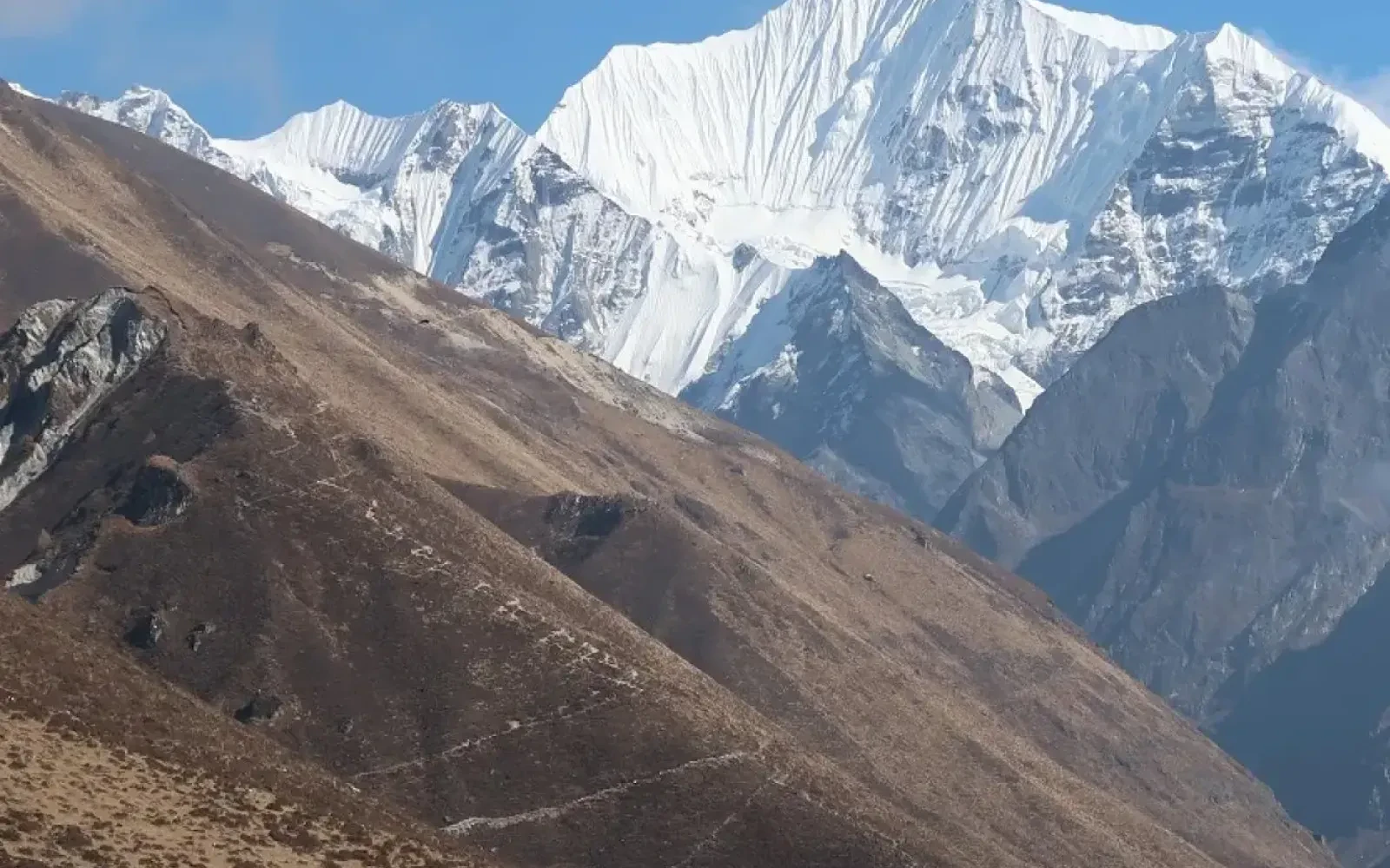 Is Langtang Valley Trek worth it?