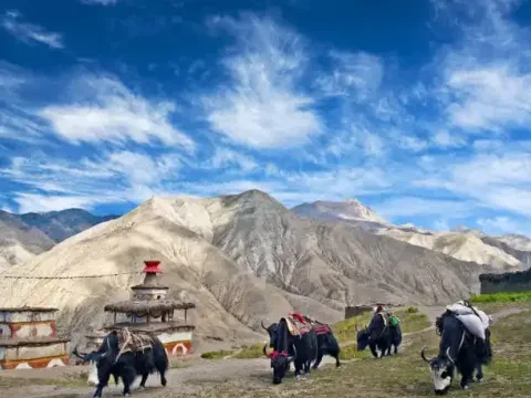 Lower Dolpo Trek