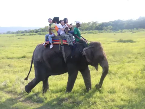 Elephant safari experience in Chitwan, Nepal, with visitors exploring the natural surroundings of the national park.