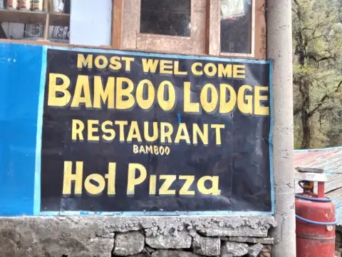 Bamboo: A Bamboo Forested Village on ABC Trail