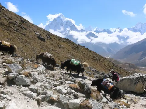 Everest Base Camp Trek in October