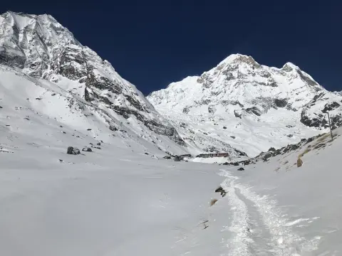 Annapurna Base Camp Trek in 2026: A complete Trekkers' Guide