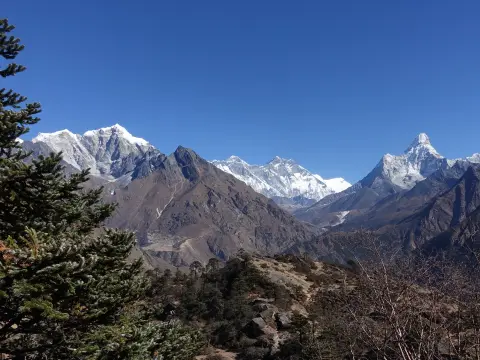 Flora and Fauna on Everest Base Camp Trek