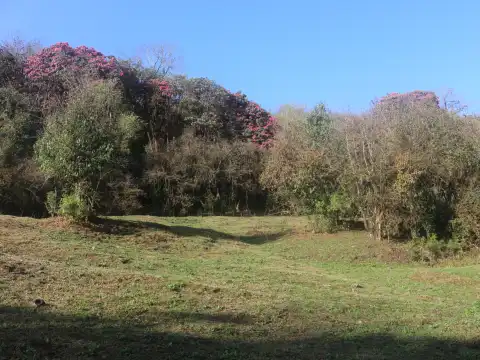 Required Permits for Mardi Himal Trek