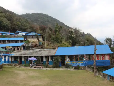 Forest Camp-A Cool and Serene Vilage on Mardi Himal Trail