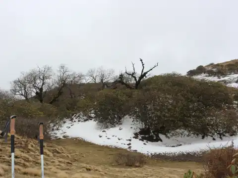 Mulde Hill Trek Cost Details