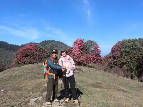 Ghorepani Poon Hill Trek: Guided Vs Independent