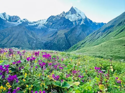 Monsoon Trekking in Nepal: Myth vs. Reality