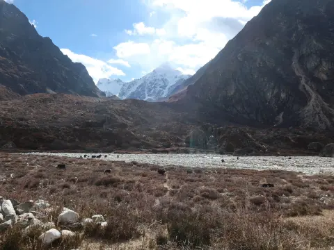 Langtang Valley Trek in November-Weather Guide