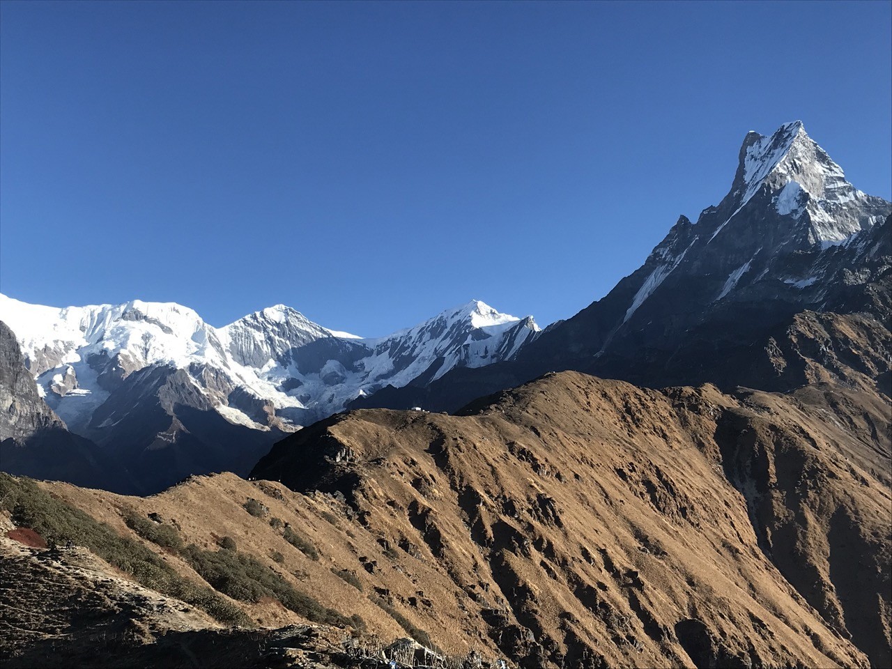 Mardi Himal viewpoints offering panoramic views of Machhapuchhre, Annapurna South, Hiunchuli, and surrounding Himalayan peaks.
