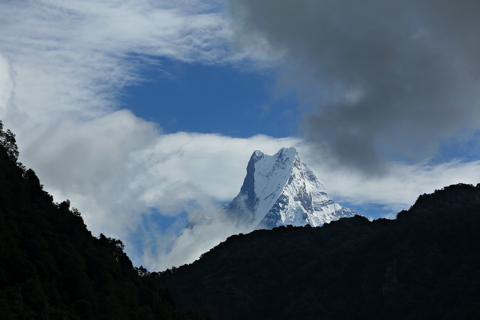 Machhapuchhre (Fishtail Mountain) displaying its iconic twin-peaked silhouette above the Annapurna region under a clear blue Himalayan sky.