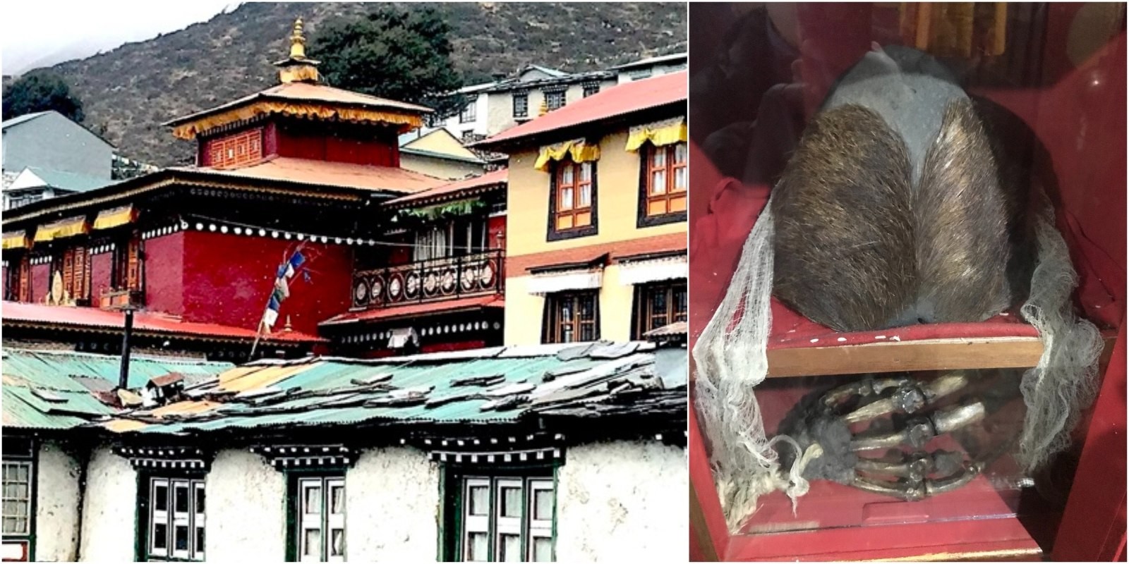 Pangboche Monastery in the Everest region displaying the legendary Yeti hand and Yeti scalp relics, sacred Buddha statues, ancient Buddhist artifacts, colorful murals, and traditional Sherpa monastery architecture.