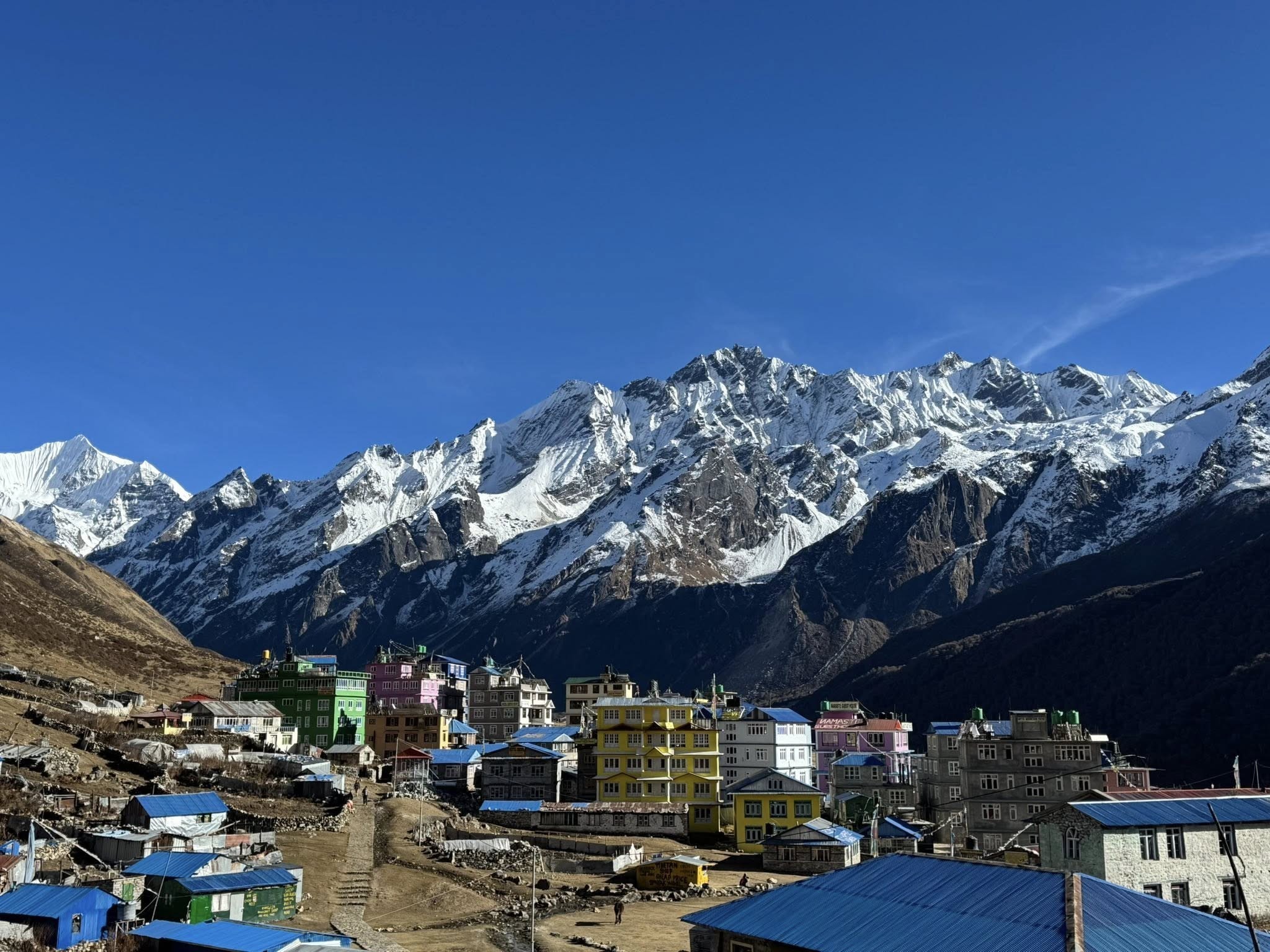 Trekkers walking through Langtang Valley under clear skies with stunning views of snow-capped Himalayan mountains.