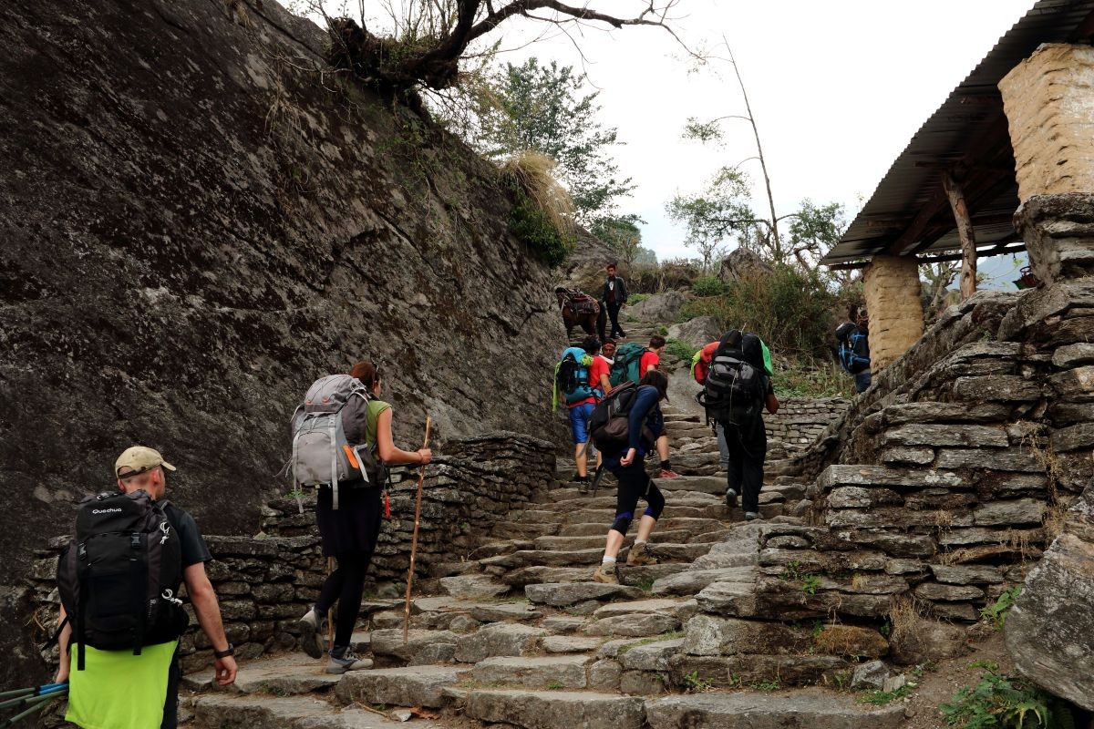 A trekker climbing the steep stone steps of Ulleri village on the Annapurna Base Camp Trek in Nepal, surrounded by terraced hills, traditional houses,
