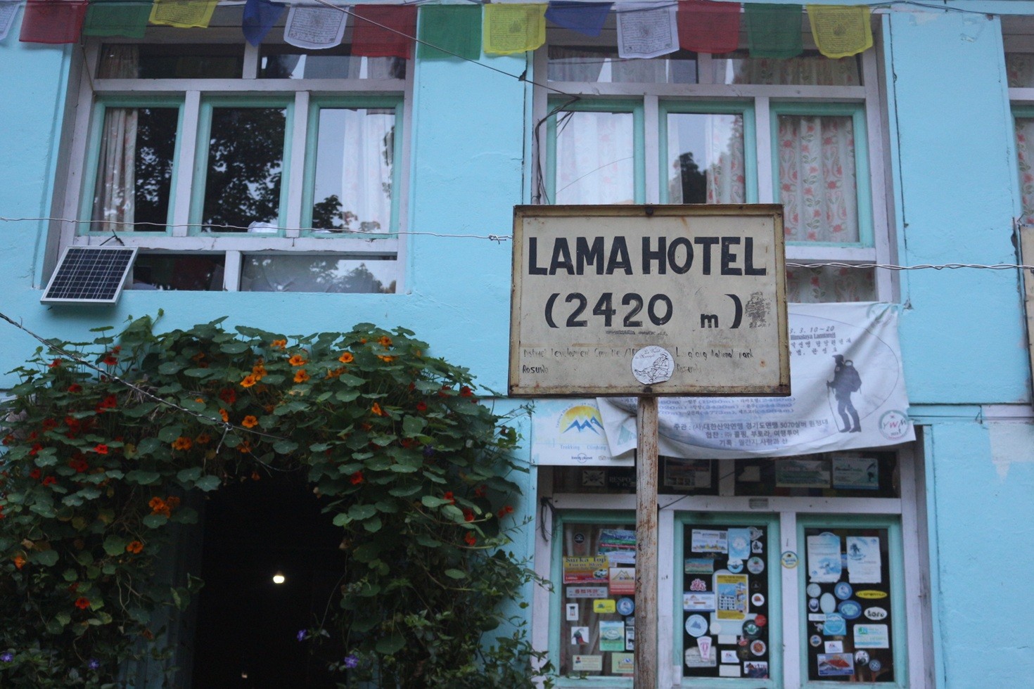 Lama Hotel on the Langtang Valley Trek, a forested teahouse stop surrounded by dense rhododendron and bamboo forest, with a river flowing nearby and steep Himalayan valley slopes.