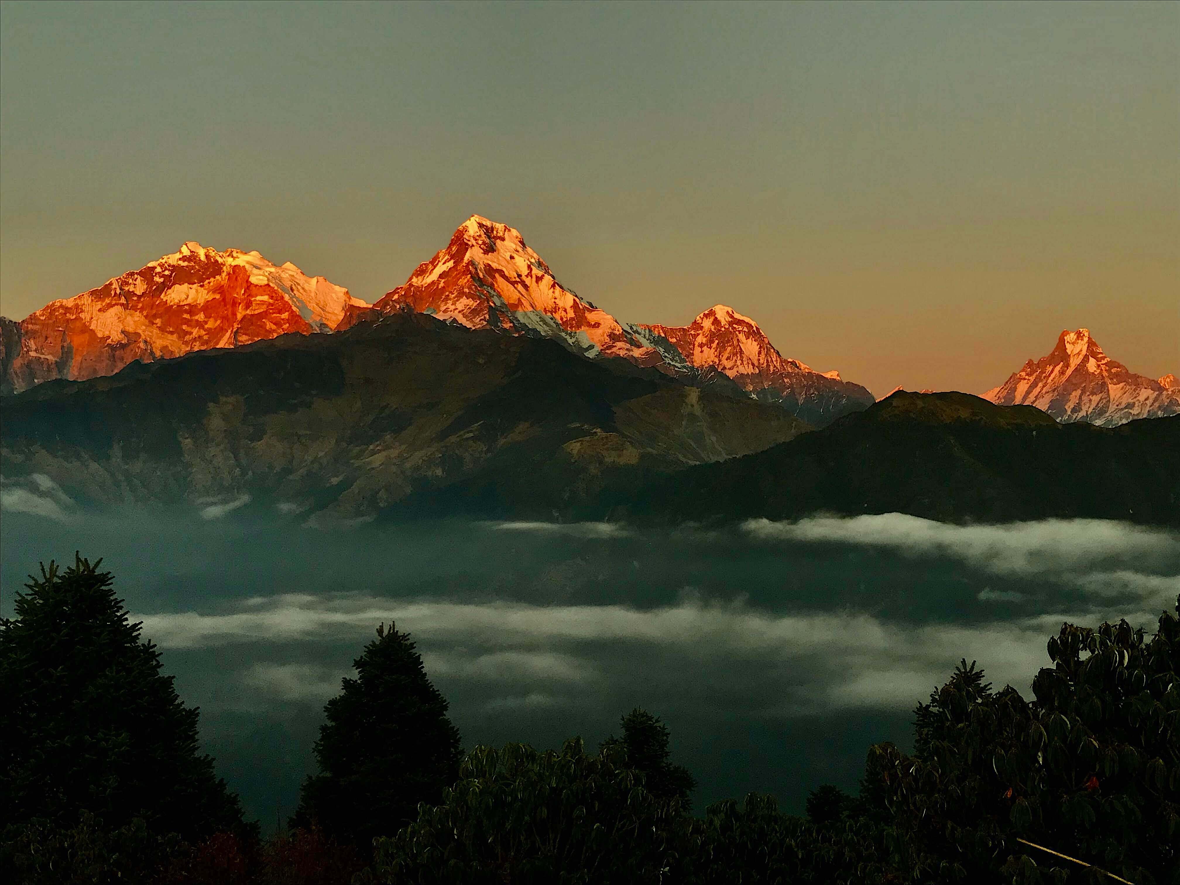 Golden sunrise illuminates Annapurna South, Hiunchuli, and Machhapuchhre (Fishtail) above a sea of clouds in the valleys below, as seen from Poon Hill during a clear September morning.