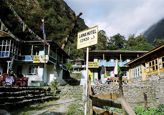 Lama Hotel surrounded by dense forest and lush Himalayan landscapes along the Langtang Valley Trek.
