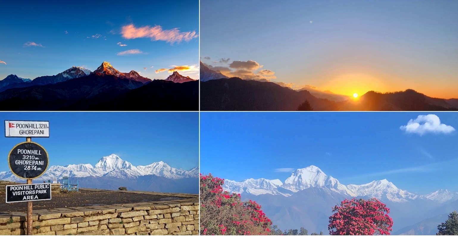 "Four-day Poon Hill Trek with Ghandruk itinerary collage featuring sunrise over the Annapurna Himalayas, the Poon Hill viewpoint sign, colorful rhododendron blooms, and panoramic mountain views.