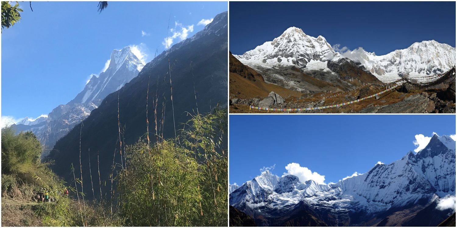 Annapurna Base Camp Trek route showing trekkers walking through Himalayan valleys and rhododendron forests, leading toward the Annapurna Sanctuary with close-up views of Annapurna I, Machapuchare (Fishtail), Hiunchuli, and surrounding snow-covered peaks.