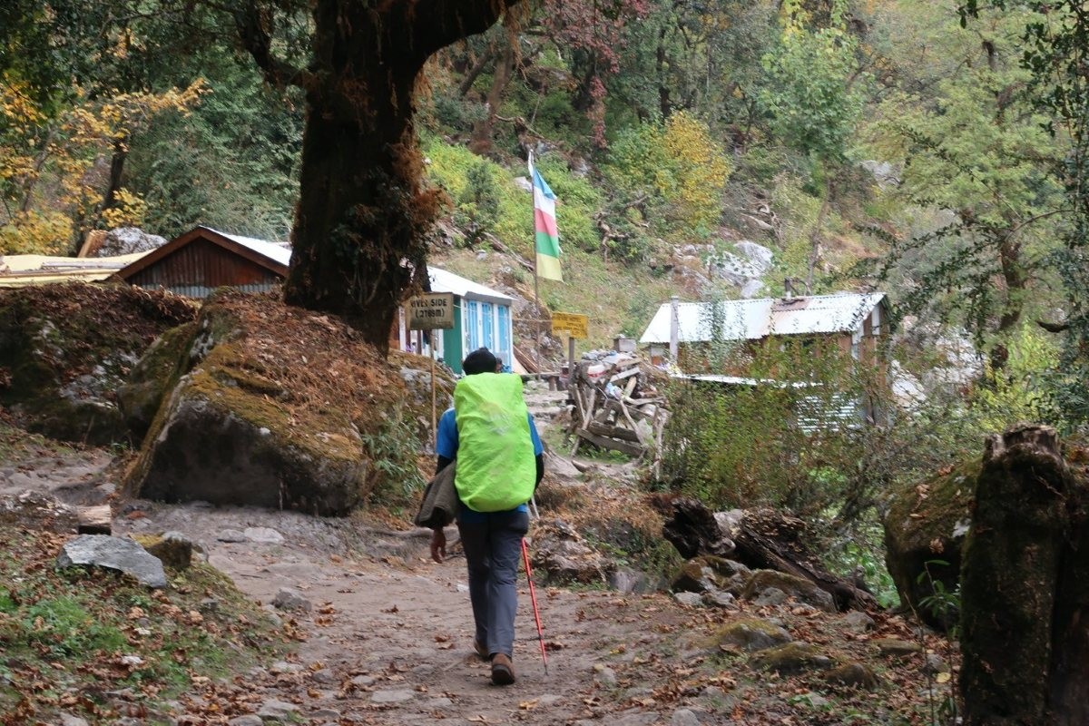 Trekkers hiking on a well-maintained trail in Langtang Valley during autumn, golden landscapes, and snow-capped Himalayan peaks.