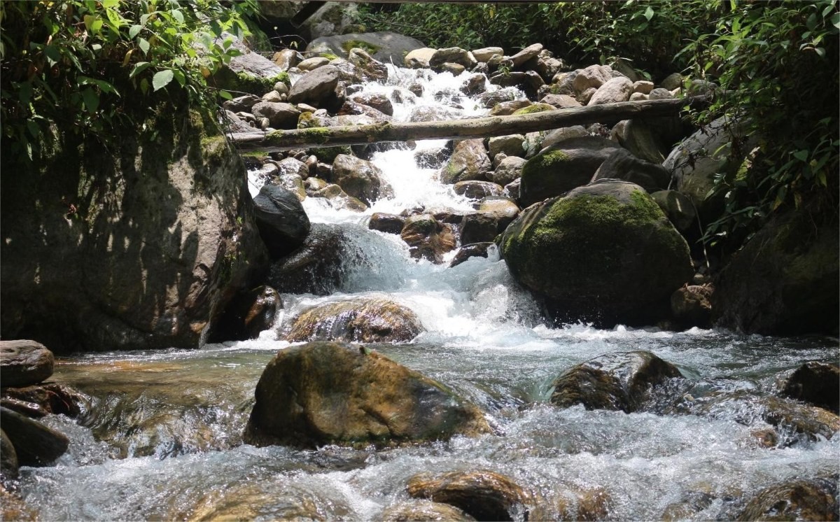 Crystal clear river flowing through the Langtang Valley Trek, surrounded by lush green forests, rocky Himalayan terrain, and snow-capped mountain views in Nepal.