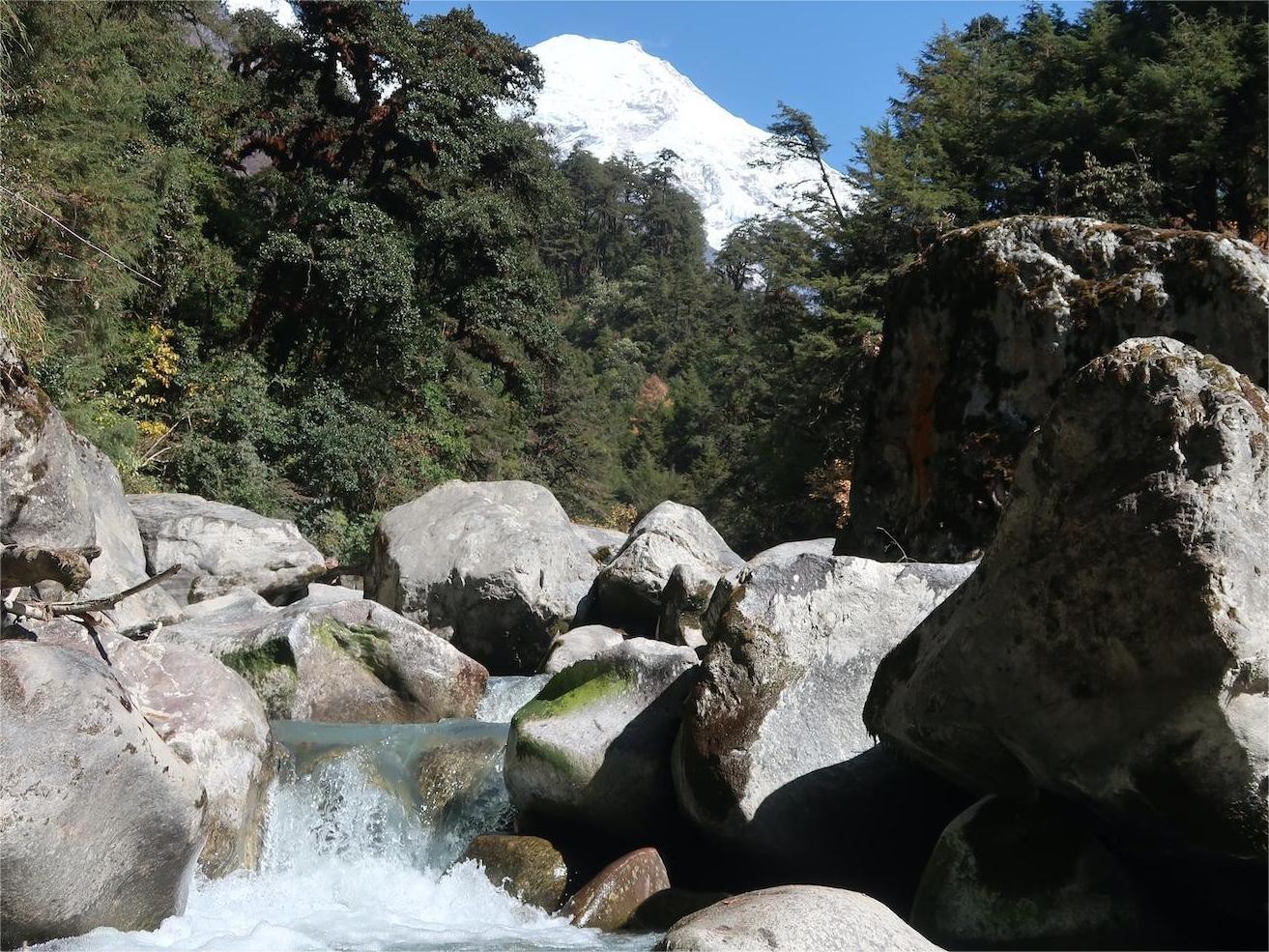 Crystal-clear rivers flowing through Langtang Valley, surrounded by lush forests, rocky riverbanks, alpine landscapes, and snow-capped Himalayan peaks.