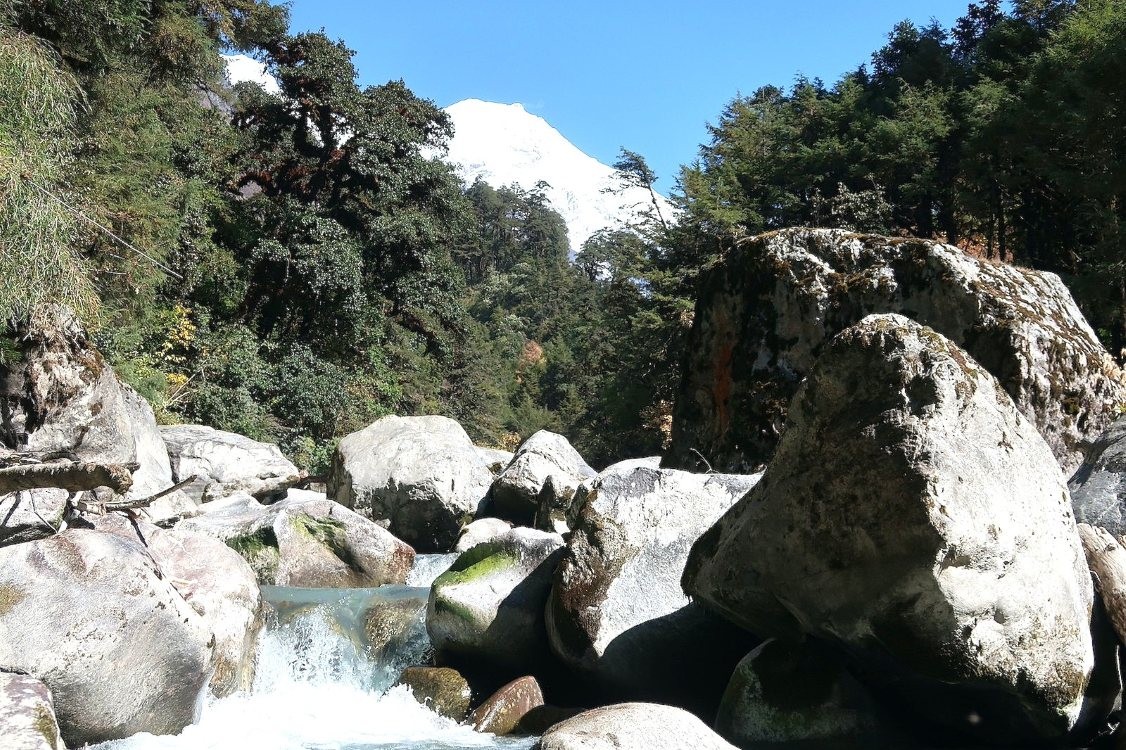 Scenic Himalayan landscape showing in Langtang- a river flowing through lush green forest with snow-capped mountains in the background in Nepal.