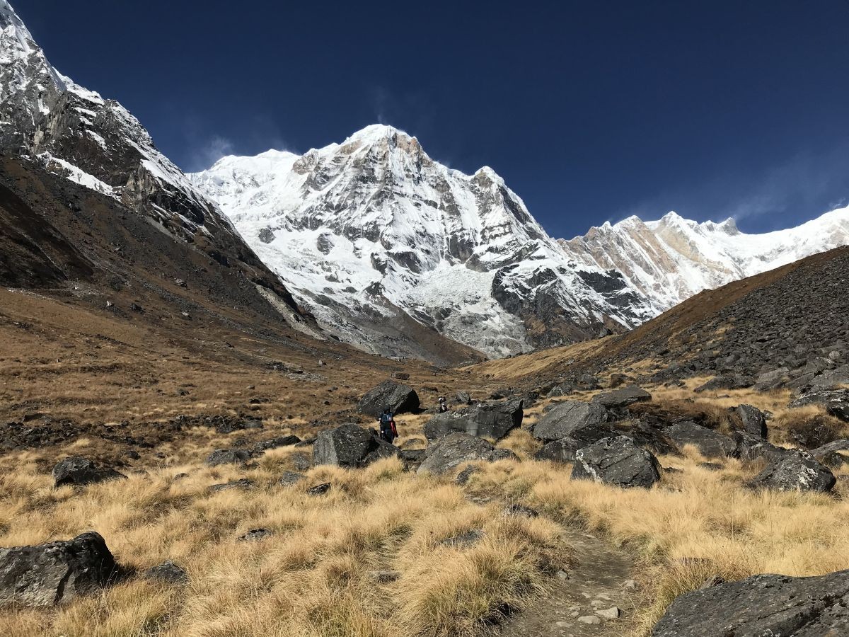 A wide landscape shot of a gradual, winding dirt trekking trail leading from Machapuchare Base Camp toward Annapurna Base Camp.The Final Stretch to Sanctuary: