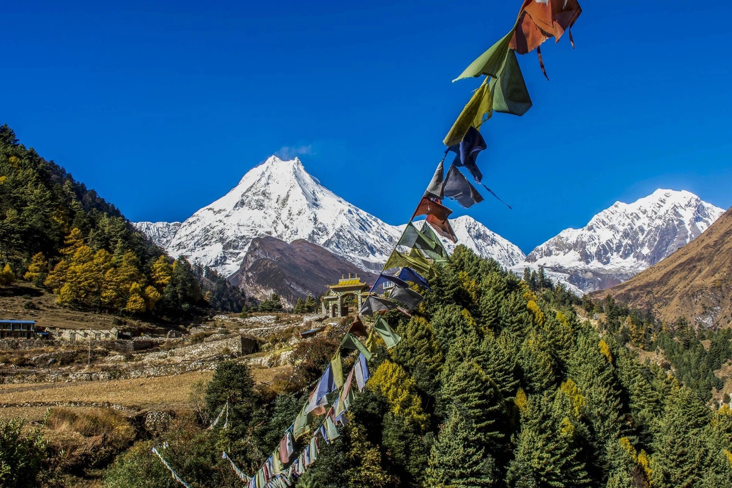 Colourful Tibetan prayer flags flutter above a traditional Mani gate with Mount Manaslu and surrounding snow-covered peaks rising over pine forests and terraced fields, showcasing the remote beauty of the Manaslu Circuit Trek.