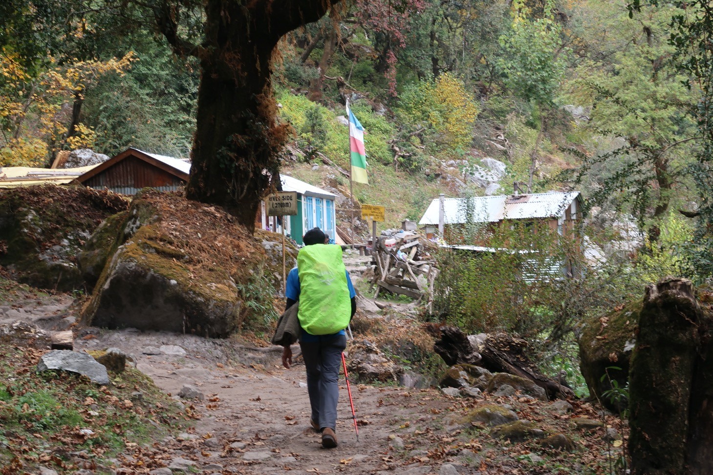 Trekkers hiking on a well-maintained trail in Langtang Valley during autumn, golden landscapes, and snow-capped Himalayan peaks.
