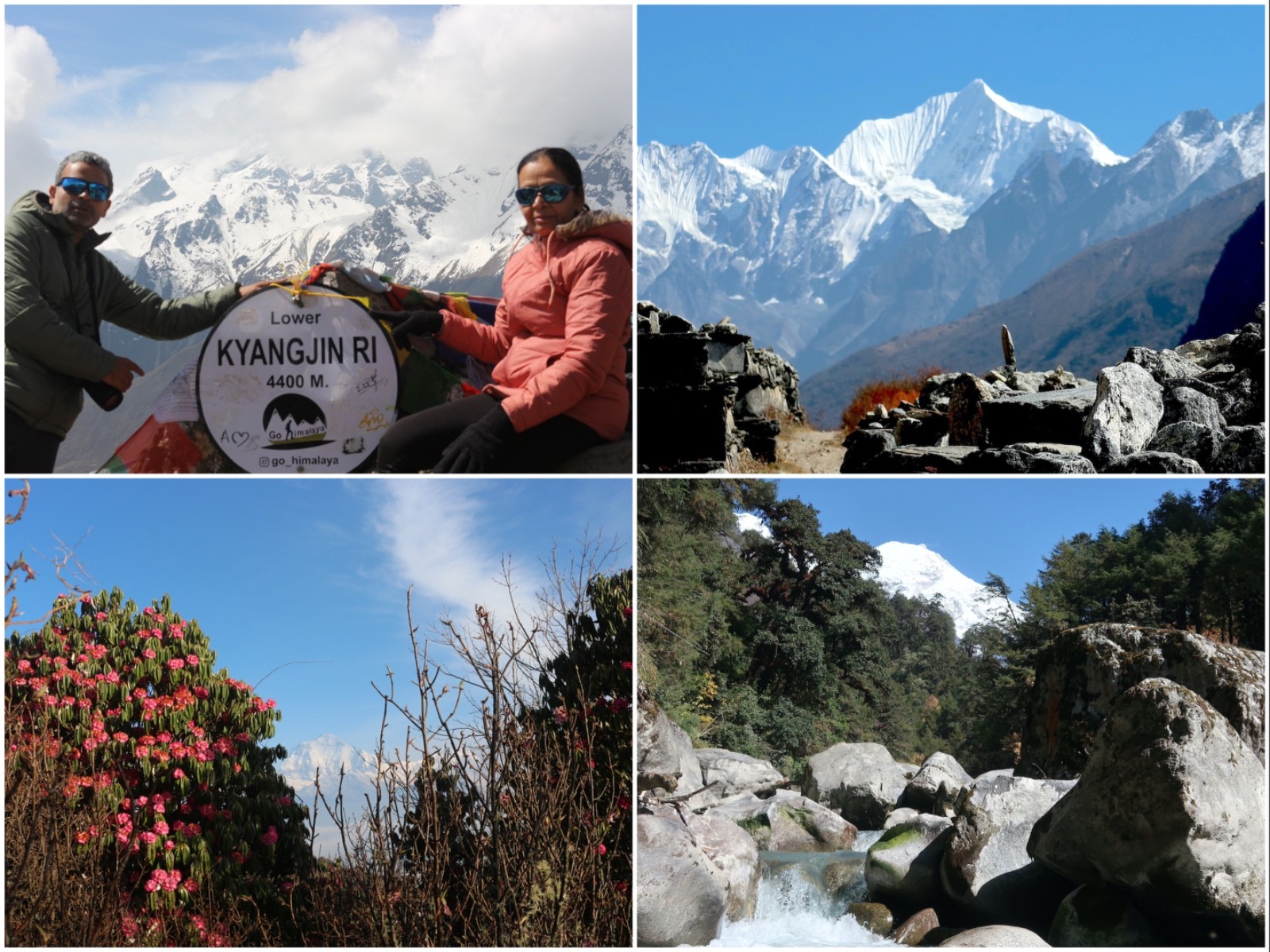 Highlights of the Langtang Valley Trek featuring Kyanjin Gompa, Kyanjin Ri, Langtang River, traditional villages, and snow-capped Himalayan peaks.
