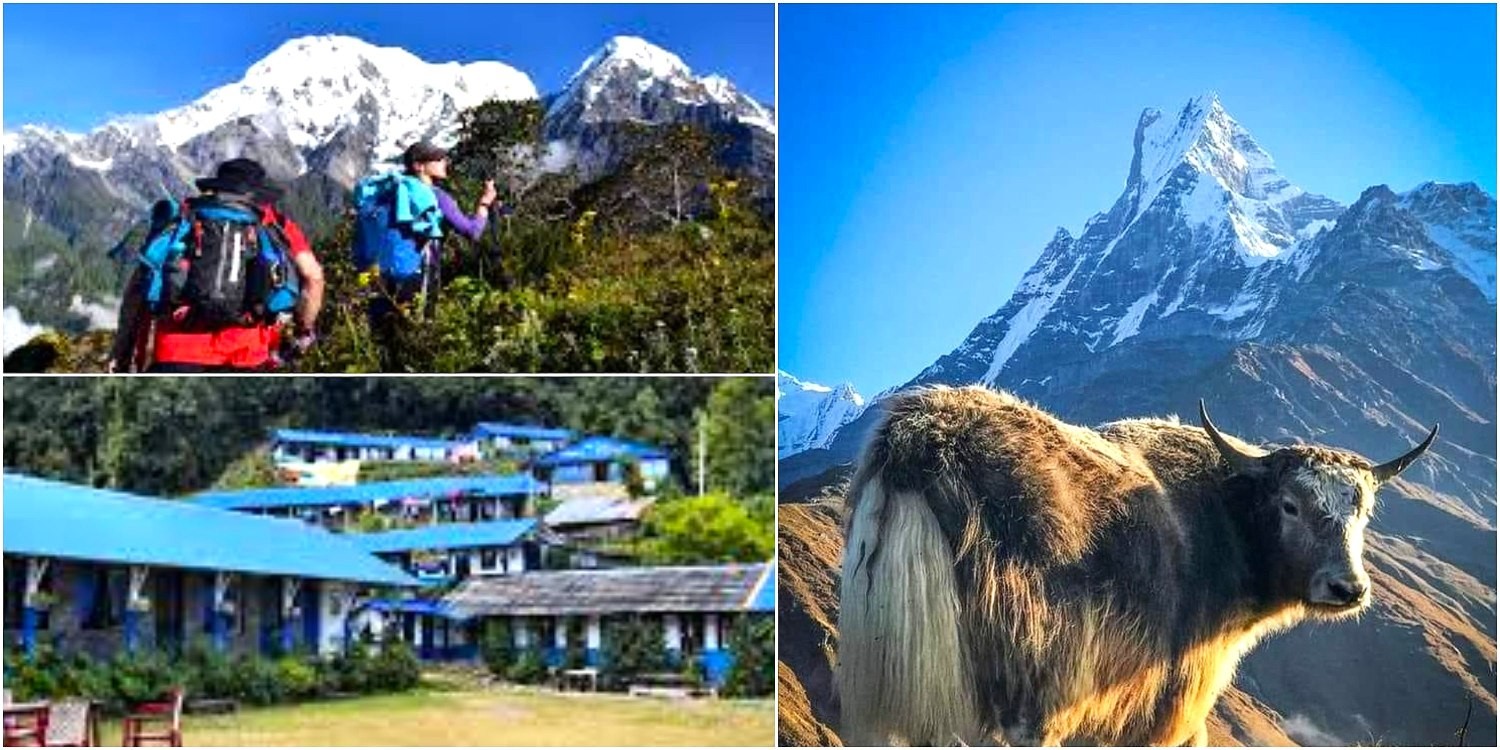 Trekkers hiking toward the Mardi Himal Trek, passing a traditional mountain lodge with Machapuchare (Fishtail Mountain) rising majestically in the background in the Annapurna region of Nepal.