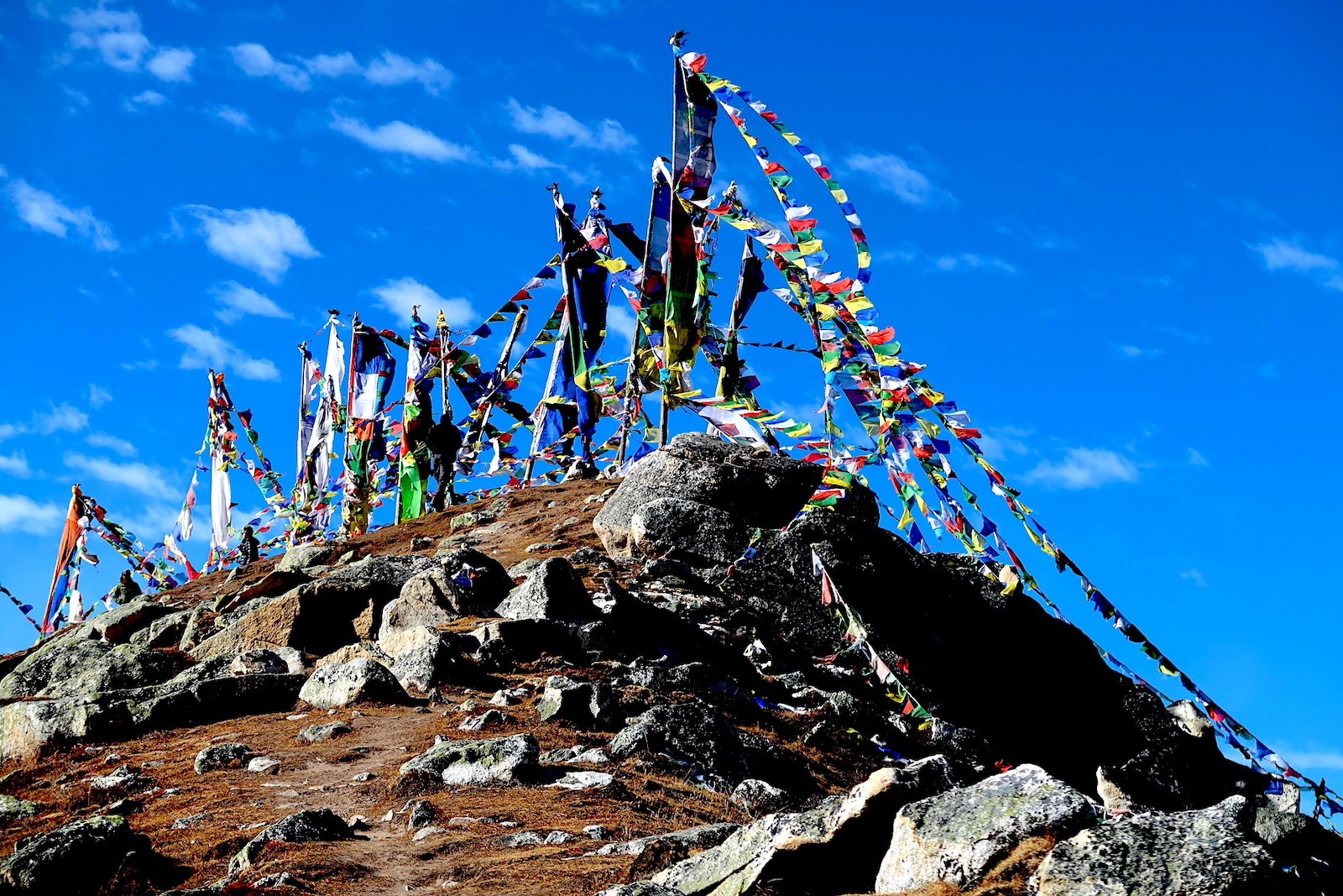 Colorful Tibetan prayer flags fluttering at Tserko Ri viewpoint with panoramic views of snow-capped Himalayan peaks and the Langtang Valley in Nepal.