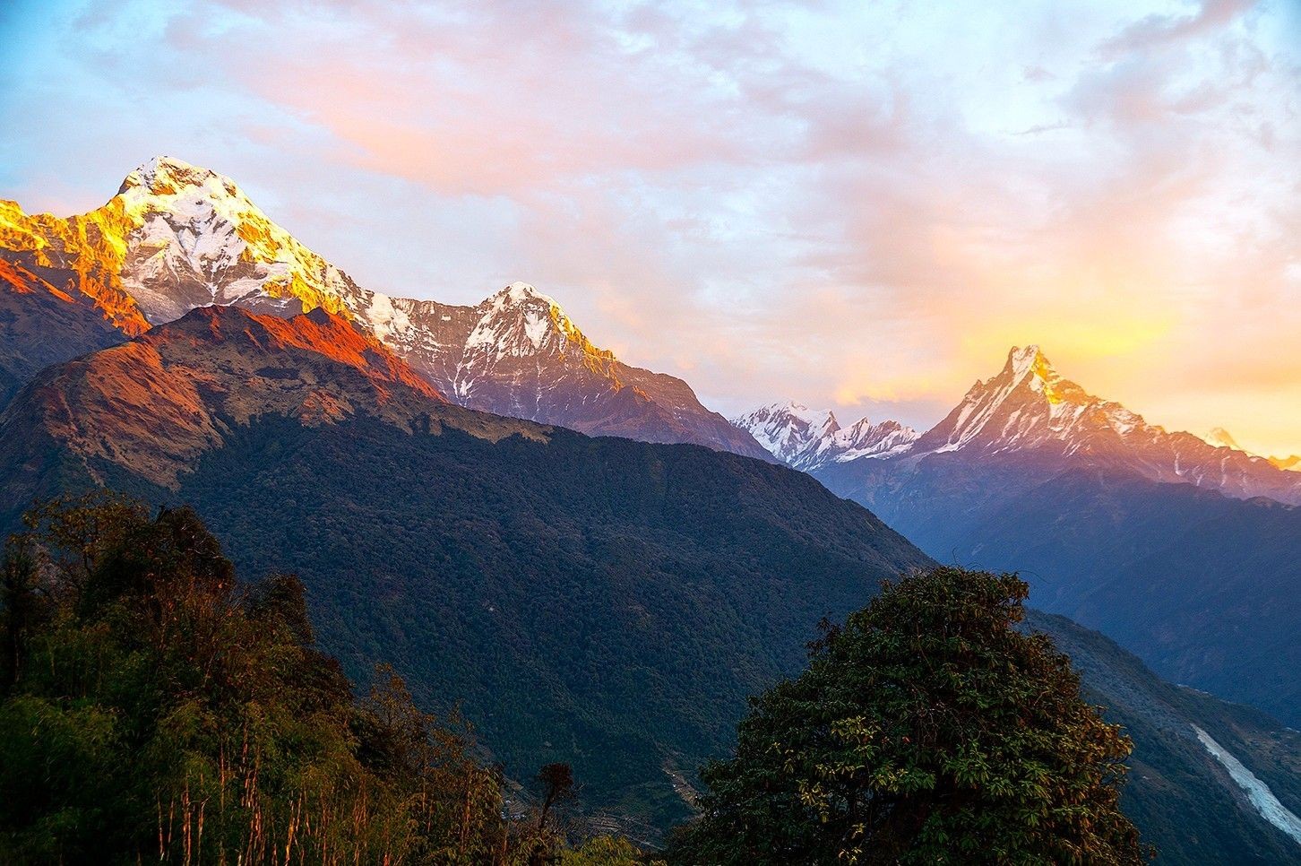 Golden sunrise view from Tadapani featuring the Annapurna South, Machhapuchhre (Fishtail), Hiunchuli, and surrounding Himalayan peaks in Nepal.