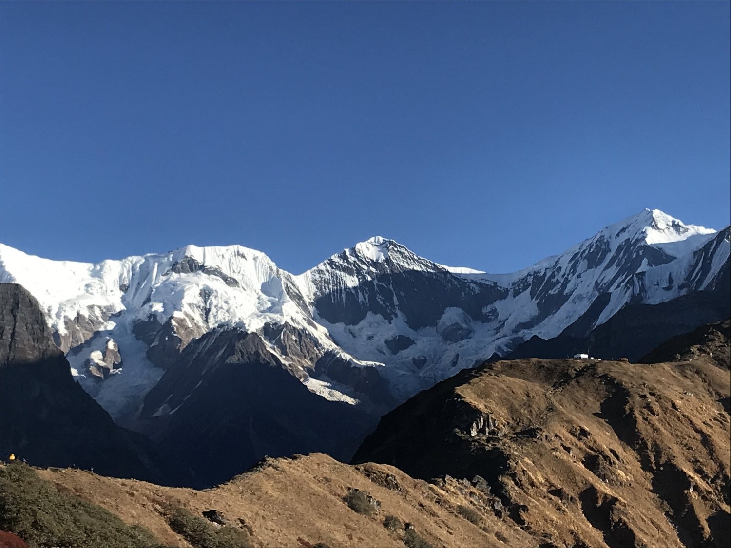 Narrow mountain ridge on the Mardi Himal Trek overlooking Gangapurna, Annapurna III, and the surrounding snow-capped Himalayan peaks under a clear blue sky.